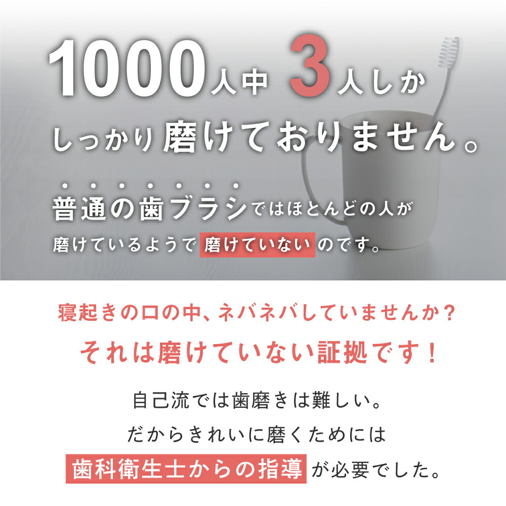 歯ブラシ】【ピラミッド】【ネコポス】奇跡の歯ブラシお試し 1本（正規品 代引不可 歯周病対策）