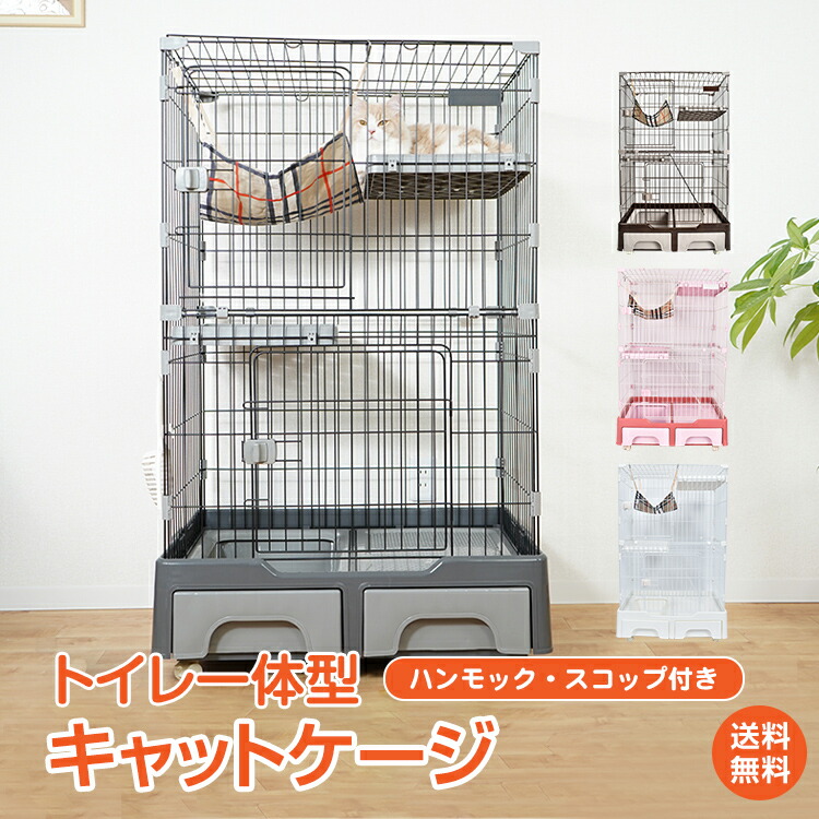 楽天市場】ペティオ necoco ネココ 仔猫からのしつけにもぴったりな