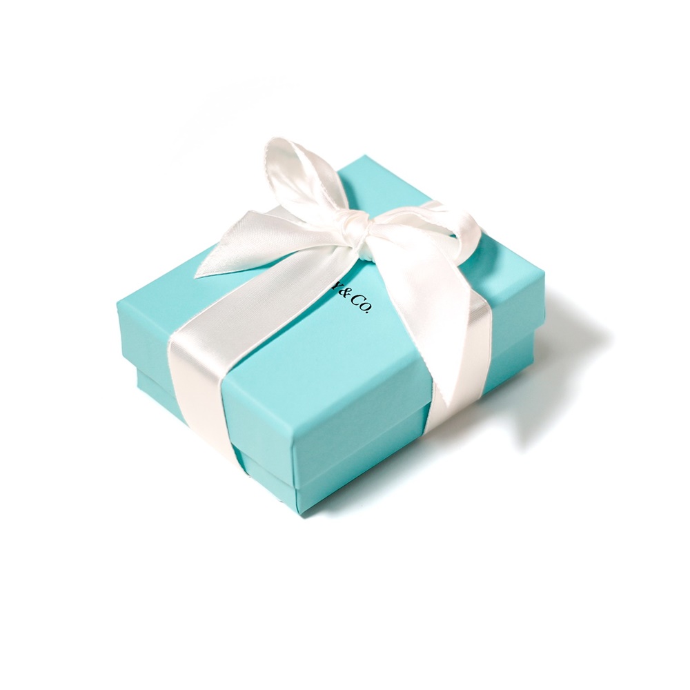 アメリカ限定 日本未発売】 TIFFANY&CO. ティファニー シルバー