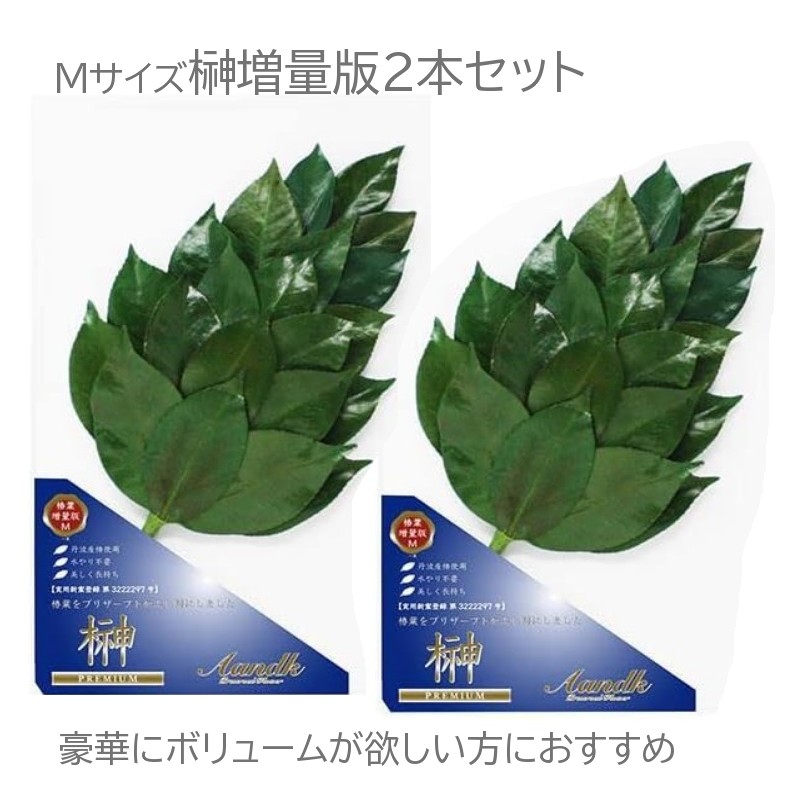 プレミアム榊-Mサイズ増量版(2本)丹波産 高級椿葉使用 神棚 お供え用【メール便送料無料】スーパーセールおすすめ