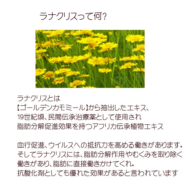 上野潤子 あっぷっぷ摩る アフターアイス固化 貨物輸送無料 アリスのmin Luxcara Com