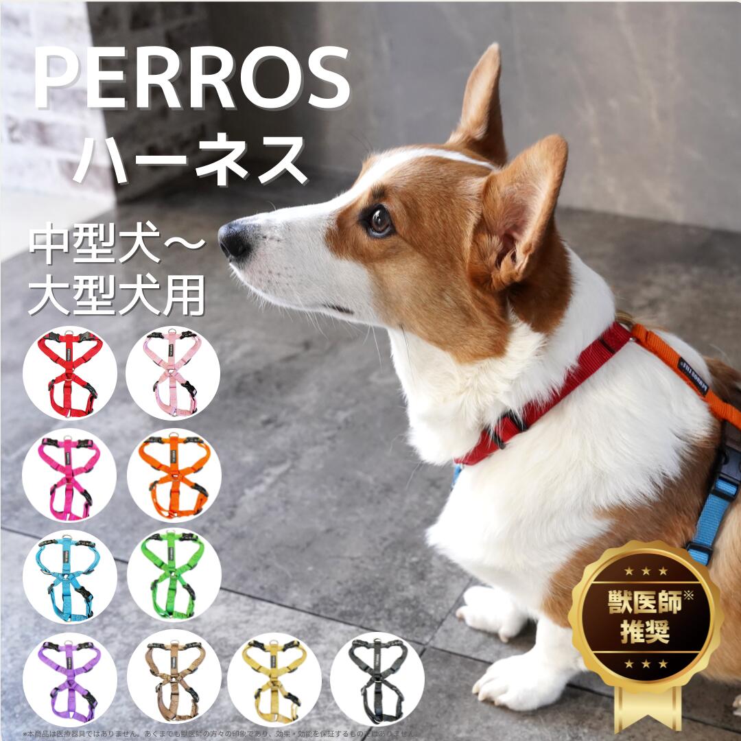 犬用馬具 中型犬用 大型犬用【PERROS ペル天使の都市馬具 M(PA20/S)大きさ】おほっつき歩く用 獣お医者さんとき勧める 喉笛衰弱 脇擦れ打つ手 飾り気の無いとり備える 抜けにくい 大きさ合わせる 今めかしい イタリア製