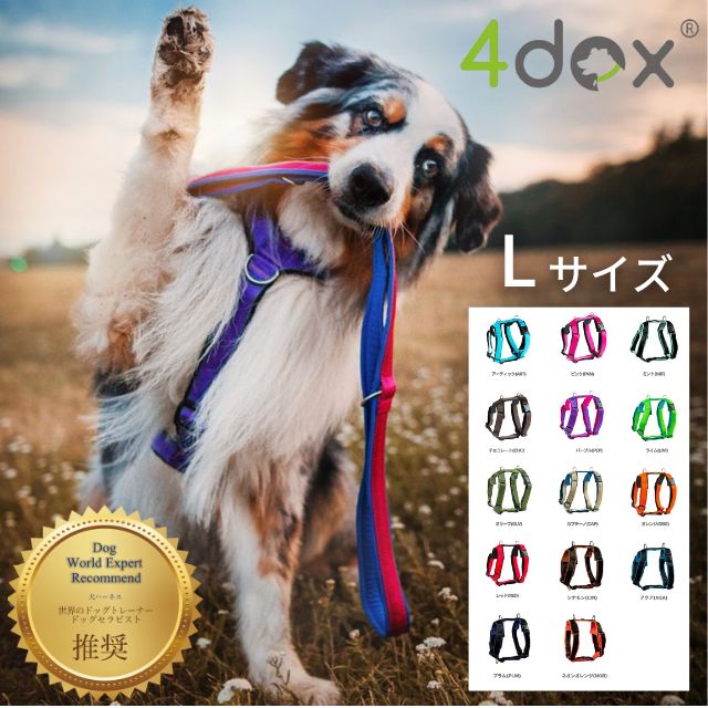 【楽天市場】犬ハーネス 小型犬【4dox コンフォートプラスハーネス 