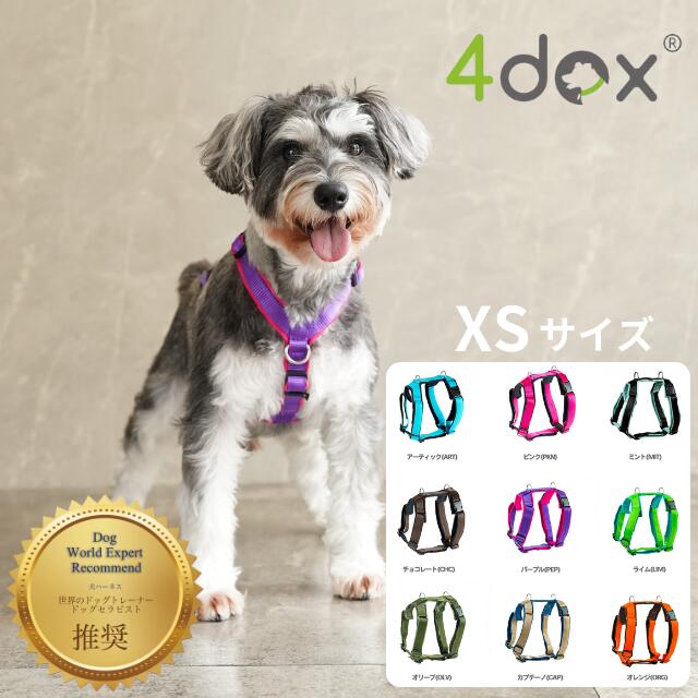 【イギリス製】中型、大型犬　カラー、ハーネス、リード、プーバック4点 imgrc0106981607.jpg