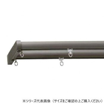 30018584 トーソー(TOSO) 機能性レール ネクスティ Mセット グレー ダブル2.73m｜aline