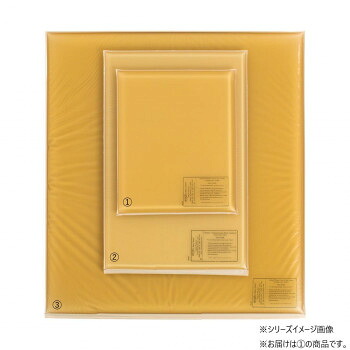 アクション・ジャパン 平状アクションパッド 小 40402|aline