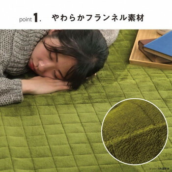 度合い 綿ネル キルトラグ 200×240糎 緑であること 1292641126401
