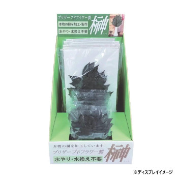 お供え用(仏花) プリザーブド榊 販売用ケースセット グリーン H80040|aline