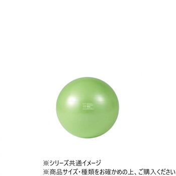 ダンノ(DANNO) ギムニクカラーボールPLUS 75(菩提樹緑であること) D5423LMG