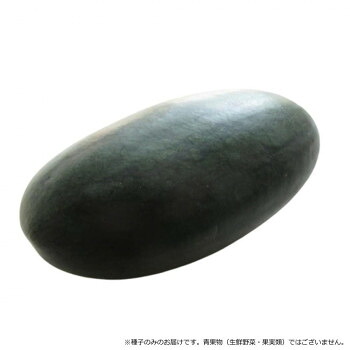 小林種苗 スイカ内果皮 まっ黒いてっぽう玉? 4683 200粒