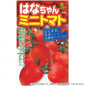 小林種苗 ミニトマト種子 はなちゃん 7210 1000粒|aline