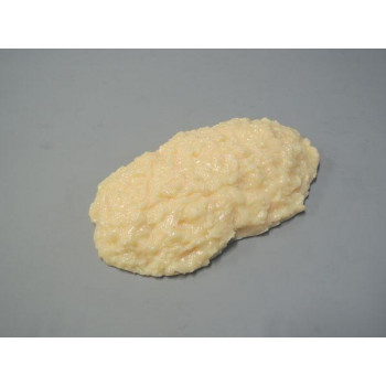 脂肪模型　1kg　IP-970｜aline