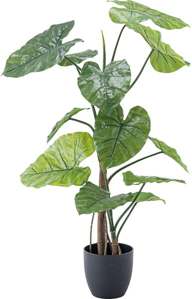 フェイクグリーン クワズイモ 観葉植物 人工観葉植物 クワイズモ 葉 造花 インテリア 癒し リーフ おしゃれ ガーデン 室内 飾り グリーン