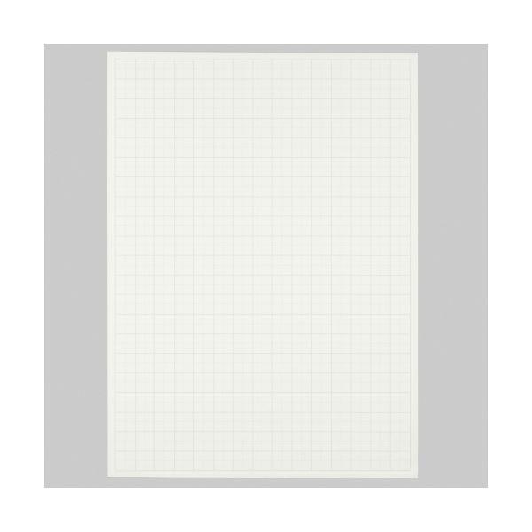 （まとめ） TANOSEE 模造紙（プルタイプ） 本体 765×1085mm 無地 ホワイト 1ケース（20枚） 【×5セット】