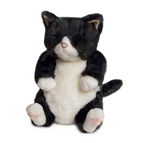 小っちゃいソメ カドリー(Cuddly)  猫のぬいぐるみ