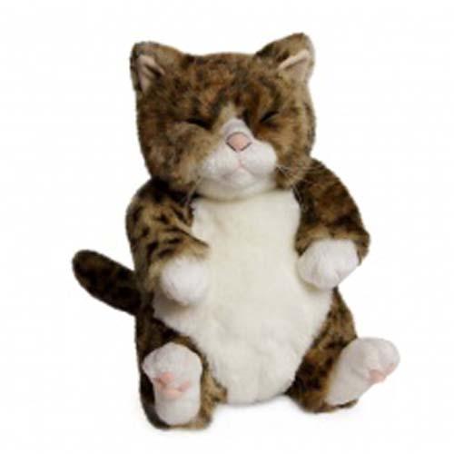 ちびピン カドリー(Cuddly) 猫のぬいぐるみ