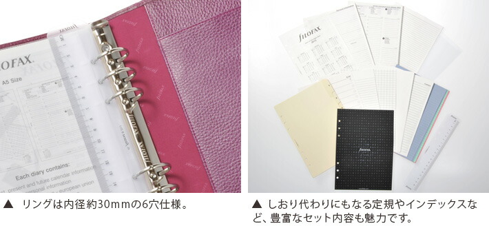 ファイロファックスシステム手帳フィンスバリーA5サイズRuspberryラズベリーファイロファックスfilofax【楽ギフ_包装】