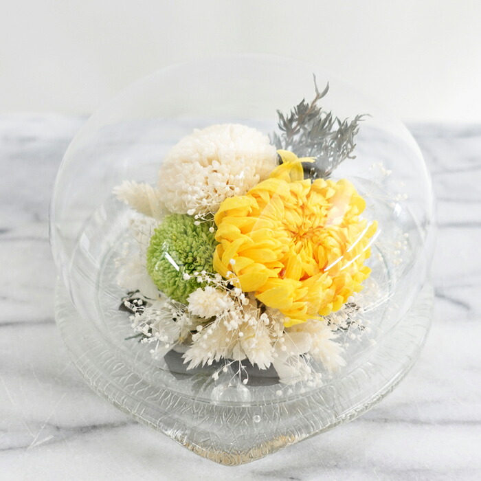 【菊 ブリザードフラワー】 菊の和調ドームグラス。日本菊と抹茶の手鞠菊を飾ったオール・プリザーブドフラワー！仏前お供えにもお勧めのガラスドームアレンジ 送料無料
