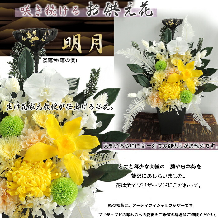 ロータス 帰らぬ人たけなわ プリザーブドフラワー 仏花 お仏壇の花 プリザーブドの大輪 大菊と蘭の御授与花 明月 口調割高案配 金箔お供盗人蓮の真相を飾った仏花 L大きさ 貨物輸送無料 Marchesoni Com Br