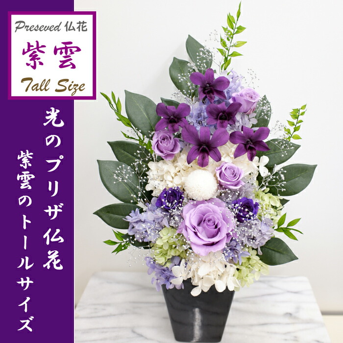 プリザーブドフラワー 光のプリザ仏花 花束 お手入れ不要のお供え花 お供え プリザーブドフラワー お悔やみ 花 ガーデン Diy プリザ デンファレ 送料無料 咲き続ける御供え花 花 観葉植物 和紫の蘭 紫雲トール 紫雲トール パープル 明るい仏壇花 光の仏花 プリザーブドフラワー 光のプリザ仏花 花束 お手入れ不要のお供え花 お供え プリザーブドフラワー お悔やみ 花 ガーデン Diy プリザ デンファレ 送料無料 咲き続ける御供え花 花 観葉植物 和紫の蘭 紫雲トール 紫雲トール パープル 明るい仏壇花 光の仏花