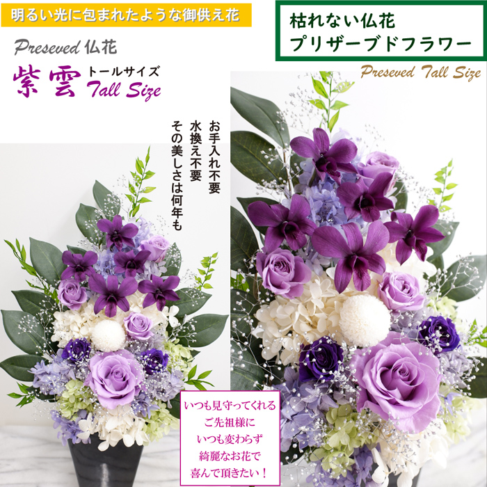 プリザーブドフラワー 光のプリザ仏花 花束 お手入れ不要のお供え花 お供え プリザーブドフラワー お悔やみ 花 ガーデン Diy プリザ デンファレ 送料無料 咲き続ける御供え花 花 観葉植物 和紫の蘭 紫雲トール 紫雲トール パープル 明るい仏壇花 光の仏花