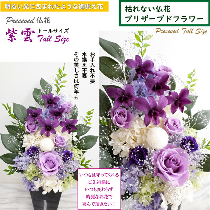 プリザーブドフラワー 光のプリザ仏花 花束 お手入れ不要のお供え花 お供え プリザーブドフラワー お悔やみ 花 ガーデン Diy プリザ デンファレ 送料無料 咲き続ける御供え花 花 観葉植物 和紫の蘭 紫雲トール 紫雲トール パープル 明るい仏壇花 光の仏花 プリザーブドフラワー 光のプリザ仏花 花束 お手入れ不要のお供え花 お供え プリザーブドフラワー お悔やみ 花 ガーデン Diy プリザ デンファレ 送料無料 咲き続ける御供え花 花 観葉植物 和紫の蘭 紫雲トール 紫雲トール パープル 明るい仏壇花 光の仏花
