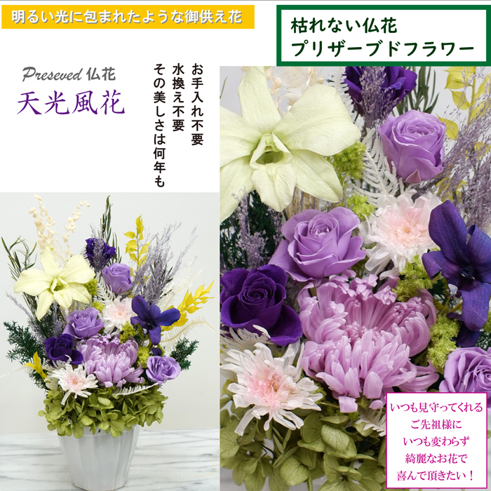 プリザーブドフラワー 太虚可視光風たけなわ おリペア無用のお供え花 天光風花 光のプリザ故人花 咲き留めおく僚え花 貨物輸送無料 華舞蹈 花舞 アメージング 大輪菊 ランデンファレ真面目仏壇花 光の仏花 アレンジメント 遺影 お悔やみ Marchesoni Com Br