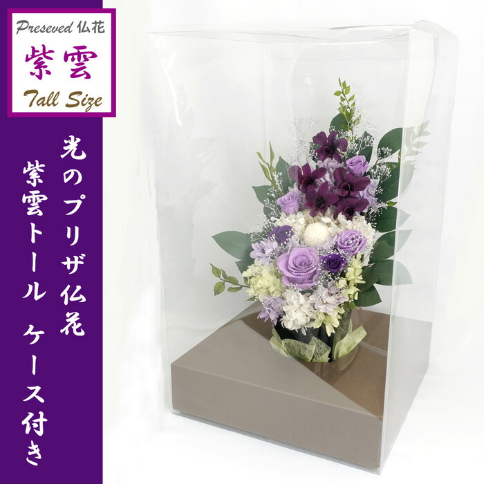 楽天市場】【ブラック・ローズ】 大人でエレガント 