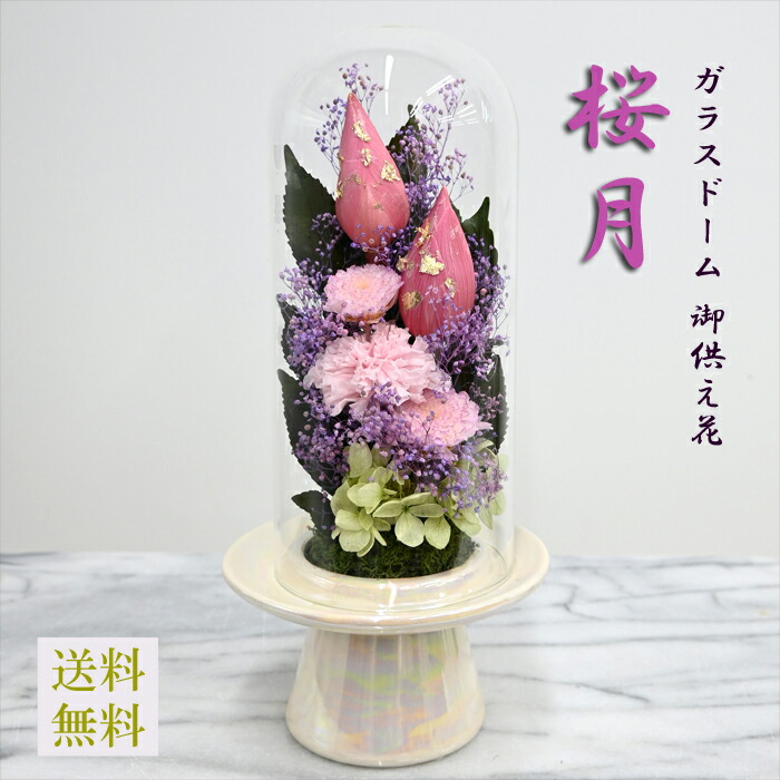 【ガラスドームプリザ 遺影】【桜月（さくらづき）】 お手入れ不要お供え花[仏花] 咲き続ける御供え花 送料無料 金箔付き大輪蓮花のつぼみ ホコリが付かない仏壇花 ガラスケース仏花 アレンジメント【遺影 お悔やみ】