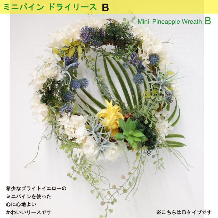 ミニ パインのヒーリングリースが心と体を癒します 心に心地よいビタミンを 花 送別 花 玄関 結婚祝い 送別 プリザーブドフラワー 新築祝い お礼 結婚祝い インテリア 花アランフィニ芦屋 おむつケーキ リース スワッグ ミニ パインのヒーリングリース 誕生日