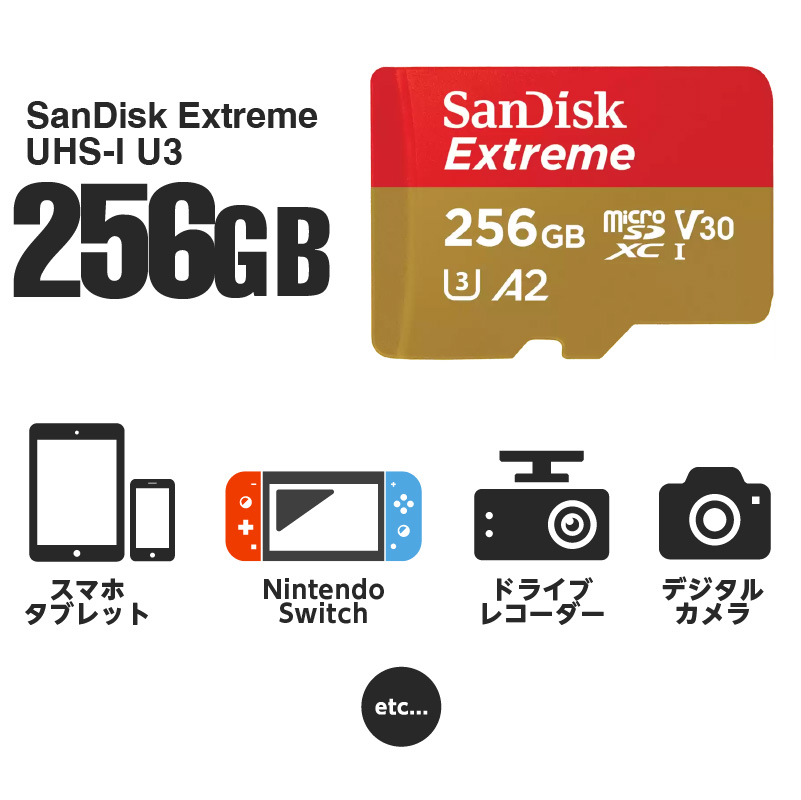 特売 マイクロSDカード 256GB microSDカード microSDXC SanDisk サン
