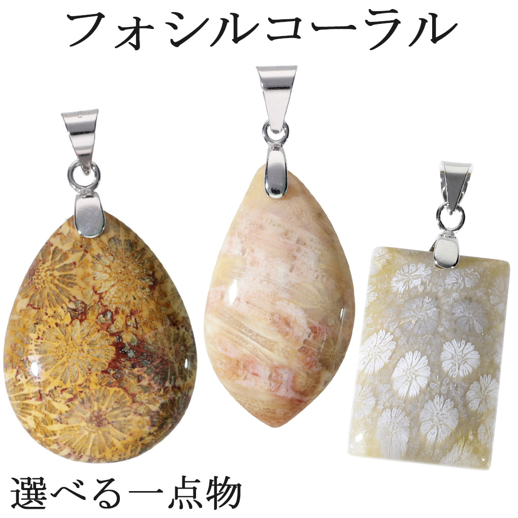 【for ぽんぶひじき様】天然石　フォッシルコーラル　珊瑚の化石ペンダントトップ 楽天市場】フォシルコーラル シルバー ペンダントトップ 数量