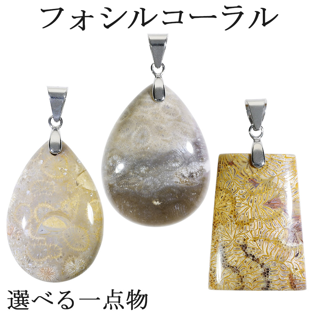 天然石サンゴネックレス 楽天市場】【マラソン 8％OFFクーポン】 血赤珊瑚 ネックレス