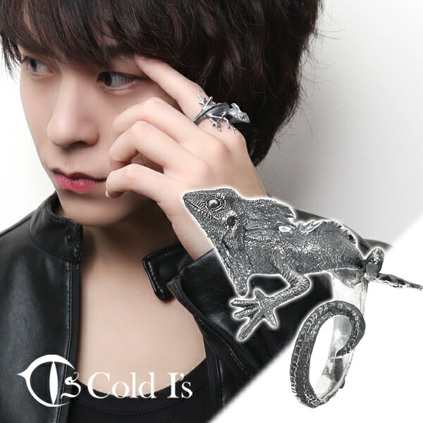 楽天市場】Cold I's ミナミモリドラゴン 巻きつき リング 15〜27