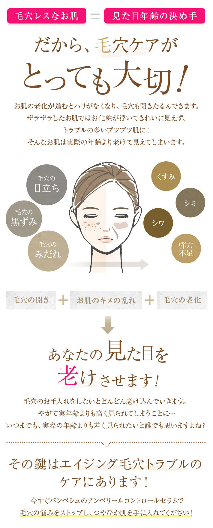楽天市場 毛穴 美容液 コントロールセラム 30ml 毛穴対策 アーティチョーク葉エキス 毛穴ケア 毛穴 角栓 いちご鼻 毛穴 黒ずみ 除去 毛穴 引き締め プラセンタでおなじみのパンベシュ