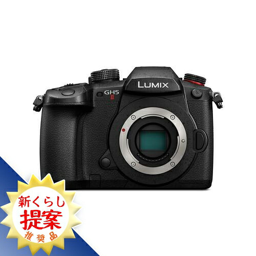パナソニック DC-GH5M2 デジタル一眼写真機 DCGH5M2