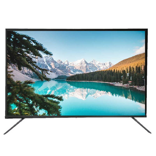 アペックス AP50DPX 50型4Kチューナーレスモニター ブラック