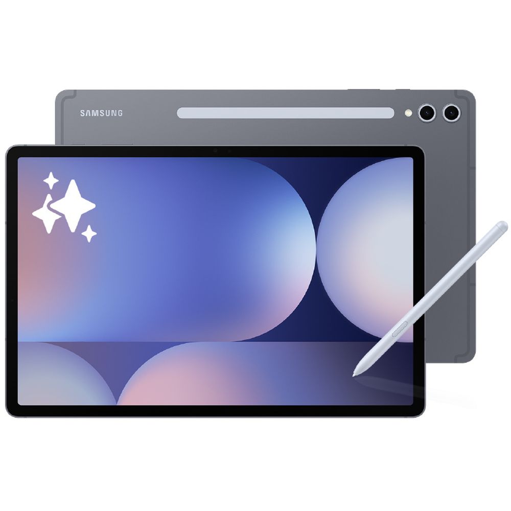Samsung Galaxy Tab S10+ 512GB/Moonstone Gray SM-X820NZAEXJP