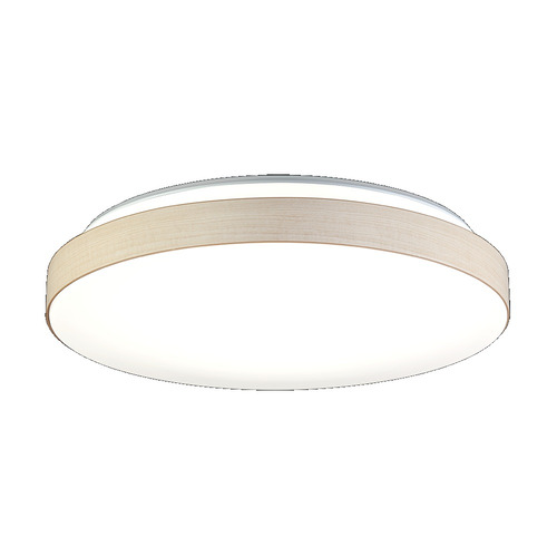 HotaluX HLDC12435SG LED最高限度点火装置 12畳 調色 4,800ルーメン ホタルック役立つこと積み上げる かんたん欠場タイマー