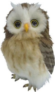 おしゃべり夢おうむ Amazon.co.jp: 夢おうむ : おもちゃ