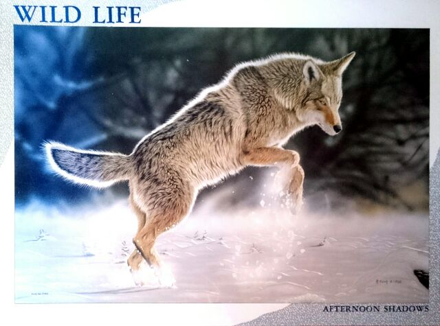 楽天市場】エポック ジグソーパズル 1000ピース 西野健太郎 家族の詩