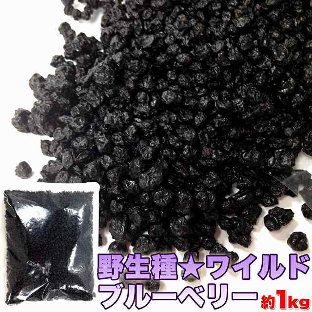 野生種★ワイルドブルーベリー大容量１ｋｇ 送料無料