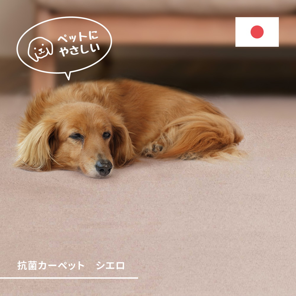 新居の勝手もと、すべり出しにやるべき物ごと■allecore  店の新聞のコラム