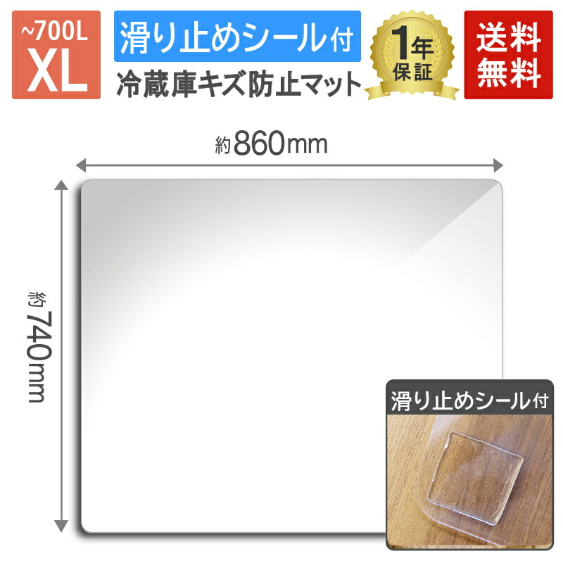 「かわいい～！」 楽天市場】【6/8(日)20〜24時限定P最大48倍！楽天スーパーSALE 塊根植物・コーデックス