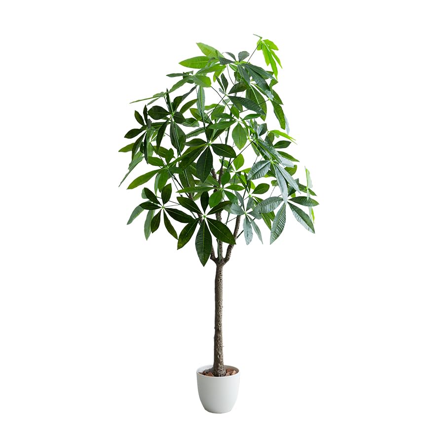 観葉植物 パキラ フェイクグリーン 人工 室内 グリーン|allecore (アレコレ) 店