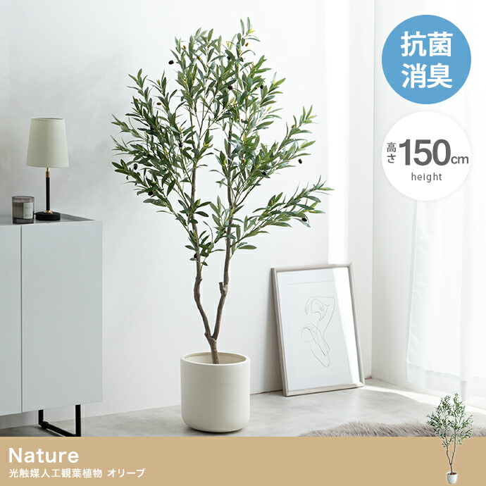 光触媒人工観葉植物 オリーブ 高さ150cm 10,321円