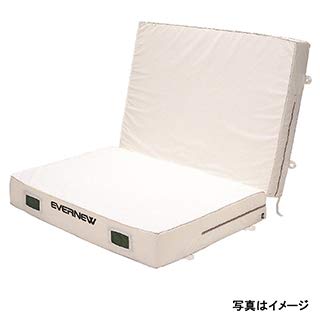 エバニュー EVERNEW 正規品 エバーマット二ツ折スベリ止メ付専用交換袋 EGD161用 EGD171 送料無料