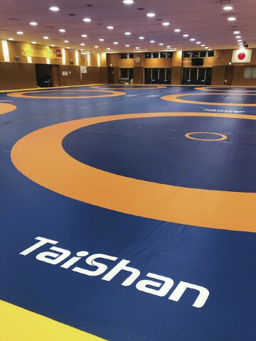 楽天市場】【折原】レスリングマット普及用 100×200×5cm 1枚単品 WG740