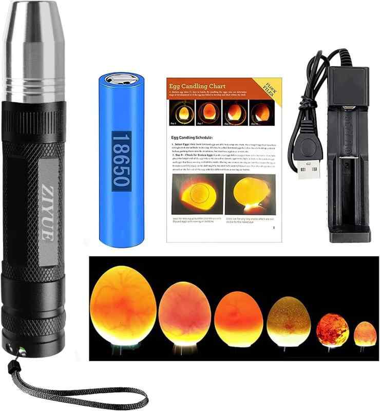 孵卵器 孵卵器
