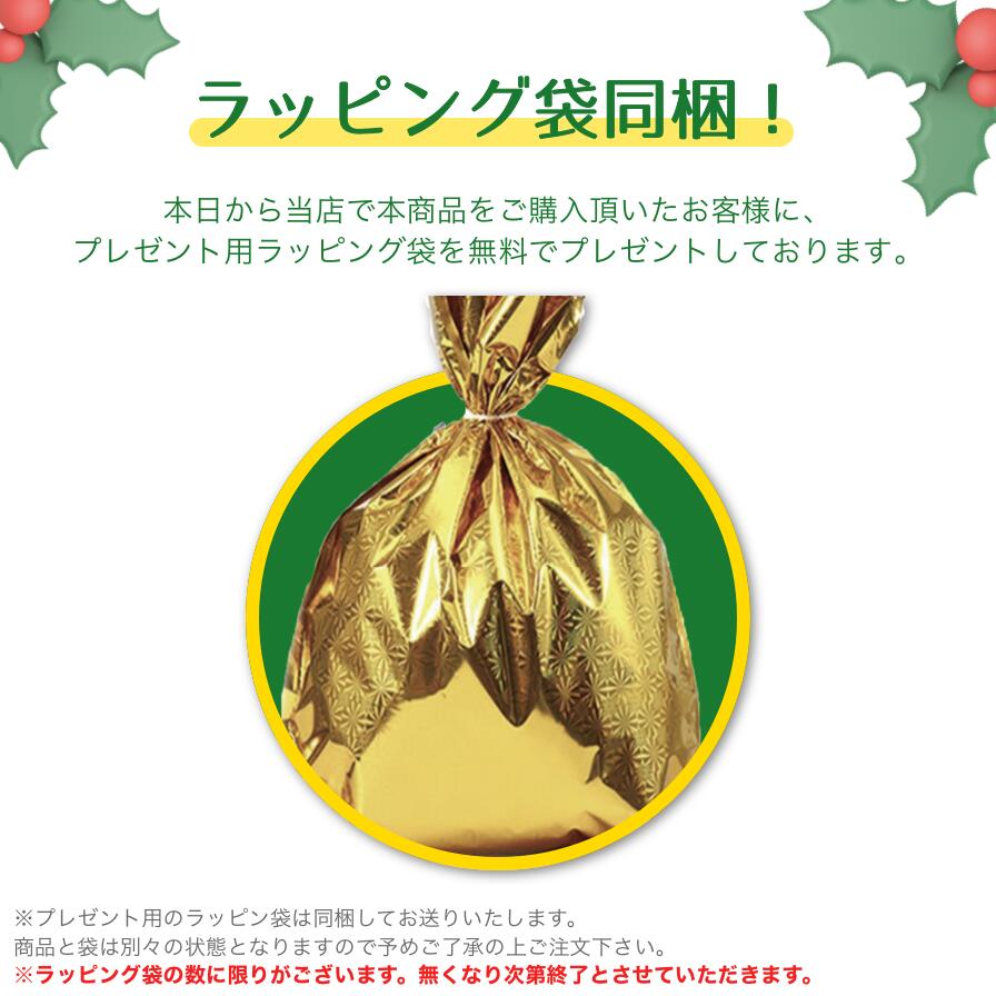 ラッピング袋付き】Nintendo Switch あつまれ どうぶつの森